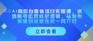 AI高阶自媒体项目实操课,讲透账号运营底层逻辑,从发布视频到规避违规一网打尽-虚拟资源库