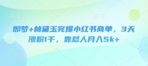 即梦+林黛玉完爆小红书商单,3天涨粉1千,靠怼人月入5k+-虚拟资源库