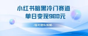 小红书冷门”暗黑”赛道,单日收益多张-虚拟资源库