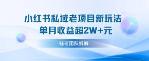 小红书私域项目新玩法，单月变现过W+-虚拟资源库