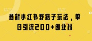 最新小红书野路子玩法,单日引流200+创业粉-虚拟资源库