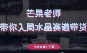 芒果老师·带你入局水晶赛道带货,助你开启水晶直播带货事业-虚拟资源库
