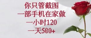 你只管截图，一部手机在家做，苹果安卓都可以，一小时120，一天5张+【揭秘】-虚拟资源库