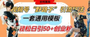 视频号“野路子”玩法,评论区疯狂截流,一套模板单日单号引流50+创业粉-虚拟资源库