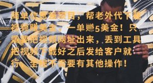 零门槛挣美金,海外视频代下服务,单笔收益40+,小白也能轻松上手-虚拟资源库