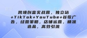 跨境创富实战营,独立站+TikTok+YouTube+谷歌广告,经营策略,店铺运营,精准选品,高效引流-虚拟资源库