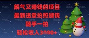 解气又挣钱的项目,最新违章拍照挣钱,随手一拍,轻松收入多张【揭秘】-虚拟资源库