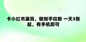 卡小红书漏洞,做知乎拉新 一天3张起,有手机即可-虚拟资源库