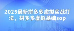 2025最新拼多多虚拟实战打法,拼多多虚拟基础sop-虚拟资源库