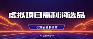 虚拟项目高利润选品方法,做好单店利润1W+,可多店倍增利润-虚拟资源库