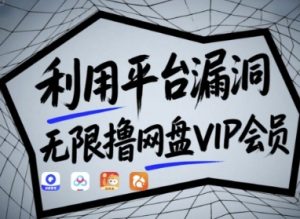 利用平台漏洞,无限撸网盘VIP会员,用户亲测有效!【漏洞原理+操作演示】-虚拟资源库