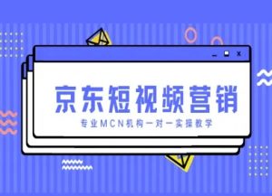 京东短视频营销项目,专业MCN机构一对一实操教学-虚拟资源库