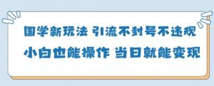 国学新玩法，引流不封号不违规小白也能操作，当日就能变现-虚拟资源库