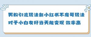 男粉引流玩法(新)，玩法友好做的好当天就能变现-虚拟资源库