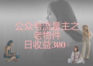 公众号流量主之老物件日收益300+-虚拟资源库