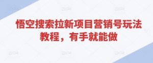 悟空搜索拉新项目营销号玩法教程,有手就能做-虚拟资源库