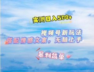 微信视频号最新玩法,表情包搭配情感文案,2分钟一条原创作品,简单好上手,轻松日入几张-虚拟资源库