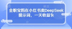 全职宝妈在小红书卖DeepSeek提示词,一天收益1k-虚拟资源库