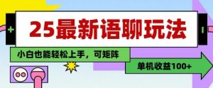25年最新语聊玩法,纯手工,单机收益100+,小白也能轻松上手,可矩阵操作-虚拟资源库