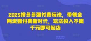 2025拼多多强付费玩法,带领全网走强付费新时代,玩法投入不超千元即可起店-虚拟资源库