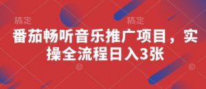 番茄畅听音乐推广项目,实操全流程日入3张-虚拟资源库