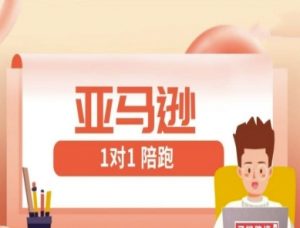 亚马逊1对1陪跑课(FBA/FBM精铺)跨境亚马逊教程-虚拟资源库