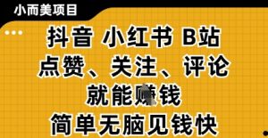 小而美的项目,抖音小红书B站视频点赞、关注、评论就能挣钱,简单无脑立见收益,妥妥的零撸项目【揭秘】-虚拟资源库