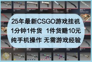 25年最新CSGO游戏挂G，1分钟1件货，1件货挣10元，纯手机操作，无需游戏经验【揭秘】-虚拟资源库