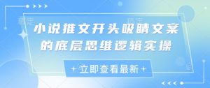 小说推文开头吸睛文案的底层思维逻辑实操-虚拟资源库