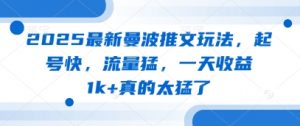 2025最新曼波推文玩法,起号快,流量猛,一天收益1k+真的太猛了-虚拟资源库