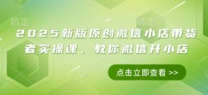 2025新版原创微信小店带货者实操课,教你微信开小店-虚拟资源库