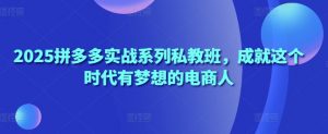 2025拼多多实战系列私教班,成就这个时代有梦想的电商人-虚拟资源库