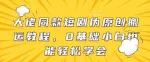 大佬同款短剧伪原创搬运方法,0基础小白也能轻松学会-虚拟资源库