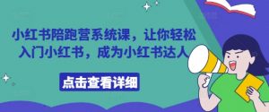 小红书陪跑营系统课，让你轻松入门小红书，成为小红书达人-虚拟资源库