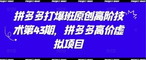 拼多多打爆班原创高阶技术第43期,拼多多高价虚拟项目-虚拟资源库