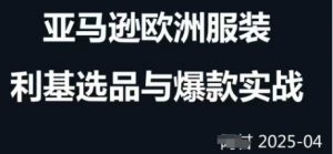 跨境电商选品案例24-25年,聚焦跨境电商选品策略与运营优化,助力卖家挖掘蓝海市场-虚拟资源库