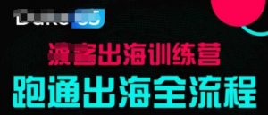出海训练营基础课，​跑通出海全流程，实战案例拆解-虚拟资源库
