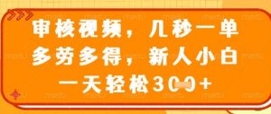 视频审核员，几秒一单，不限时间，不限地点，多做多得，新人小白一天轻松几张+【揭秘】-虚拟资源库