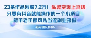 抖音私域项目23条作品涨粉7.2W，私域变现1W-虚拟资源库