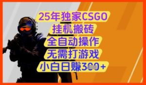 25年独家CSGO挂G搬砖,全自动操作,无需打游戏,小白日入3张+【揭秘】-虚拟资源库