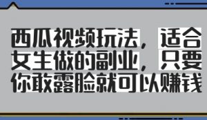 西瓜视频玩法,适合女生做的副业,只要你敢露脸就有收益-虚拟资源库