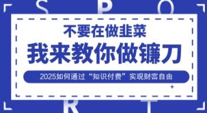 韭菜生涯终结者,我来教你做镰刀,2025如何通过“知识付费”实现财F自由【揭秘】-虚拟资源库