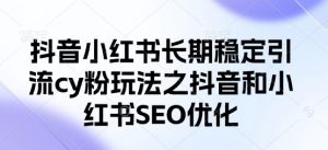 抖音小红书长期稳定引流cy粉玩法之抖音和小红书SEO优化-虚拟资源库