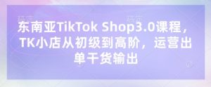 东南亚TikTok Shop3.0课程,TK小店从初级到高阶,运营出单干货输出-虚拟资源库