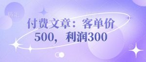 付费文章:客单价500,利润300-虚拟资源库