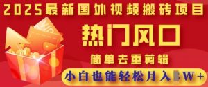 2025最新视频搬砖项目,热门风口,简单去重剪辑,小白也能轻松月入过W-虚拟资源库