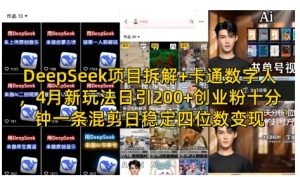 DeepSeek项目拆解+卡通数字人,4月新玩法日引200+创业粉十分钟一条混剪日稳定四位数变现-虚拟资源库