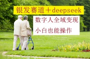 银发赛道+deepseek数字人全域变现,小白也能操作-虚拟资源库