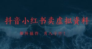 抖音小红书卖虚拟资料,市场需求一直存在,矩阵操作,月入1w+-虚拟资源库