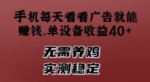 手机每天看看广告就能挣钱,单设备收益40+,无需养鸡,实测稳定【揭秘】-虚拟资源库